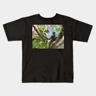 Male Quetzal in Tree Kids T-Shirt